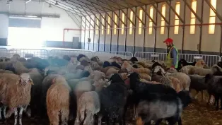 الصورة : فايسبوك