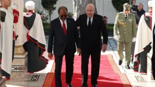 الصورة: ح. م