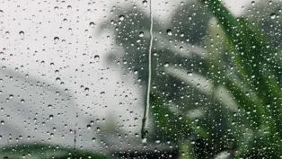 الصورة: م.ح