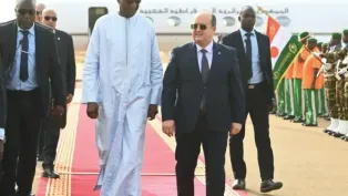 الصورة: التلفزيون العمومي