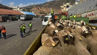 الصورة : ح.م