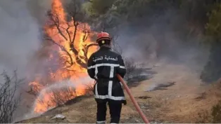 الصورة: م.ح