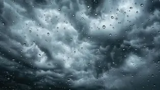 الصورة: ح. م
