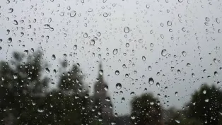 الصورة: ح. م