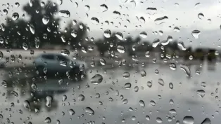 ح.م