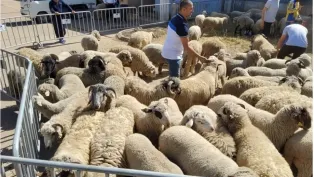 الصورة: ح. م