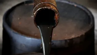 الصورة: ح. م
