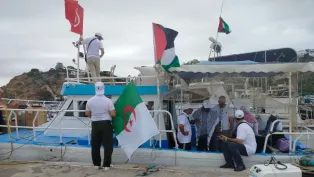 الصورة: الخبر