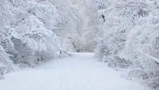 الصورة : ح.م