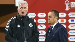 صادي وبيتكوفيتش