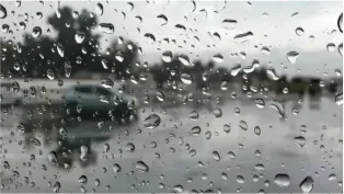 الصورة: م.ح