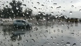 الصورة: ح. م