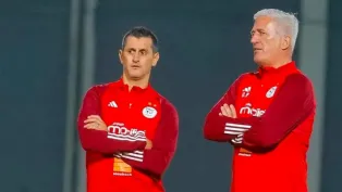 صايفي وبيتكوفيتش