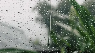 الصورة: ح. م