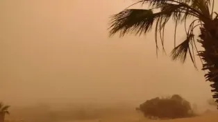 الصورة: ح. م