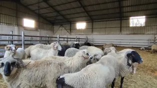 الصورة: ح. م