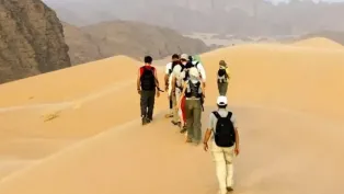 ح.م