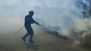 الصورة: الحماية المدنية الجزائرية