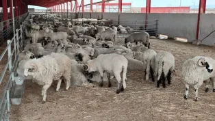 الصورة : فايسبوك