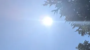 ح.م