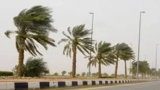 الصورة: ح. م