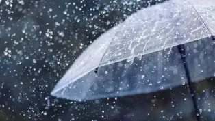 الصورة: م.ح