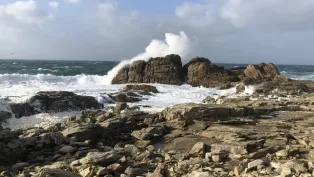 الصورة: ح. م