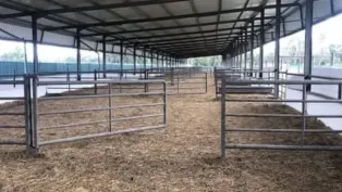 الصورة: ح. م