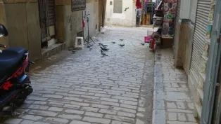 الصورة: ح.م