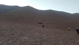 الصورة: الحماية المدنية الجزائرية