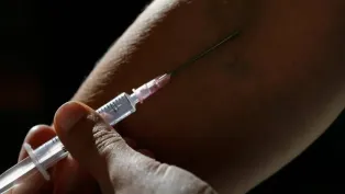 الصورة : ح.م