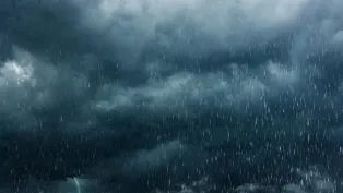 الصورة: ح. م