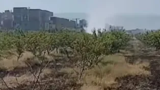 الصورة : ح.م