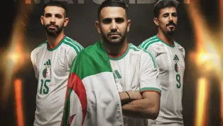 الصورة: "الفاف"