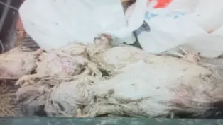 الصورة : ح.م