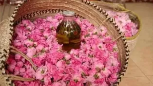 الصورة: ح.م