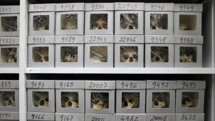 الصورة: وكالات