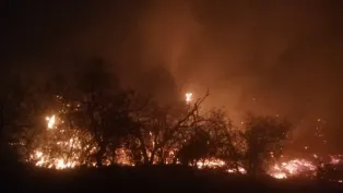 الصورة : الحماية المدنية