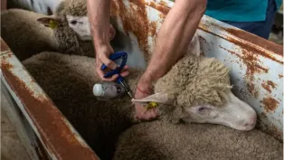 الصورة : ح.م