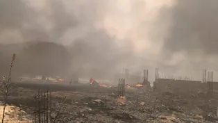 صورة: جانب من الحرائق المندلعة في المنطقة (ولاية قالمة)