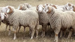 الصورة : ح.م