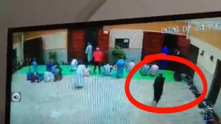 ح.م