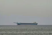 الصورة: وكالات