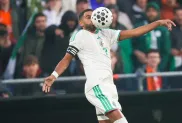 الصورة: "الفاف"