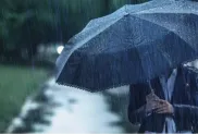 الصورة: م.ح