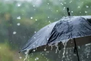 الصورة :ح.م