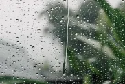 الصورة: م.ح