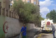 الصورة: التلفزيون العمومي