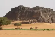 الصورة: الإذاعة الجزائرية