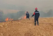 الصورة: ح. م